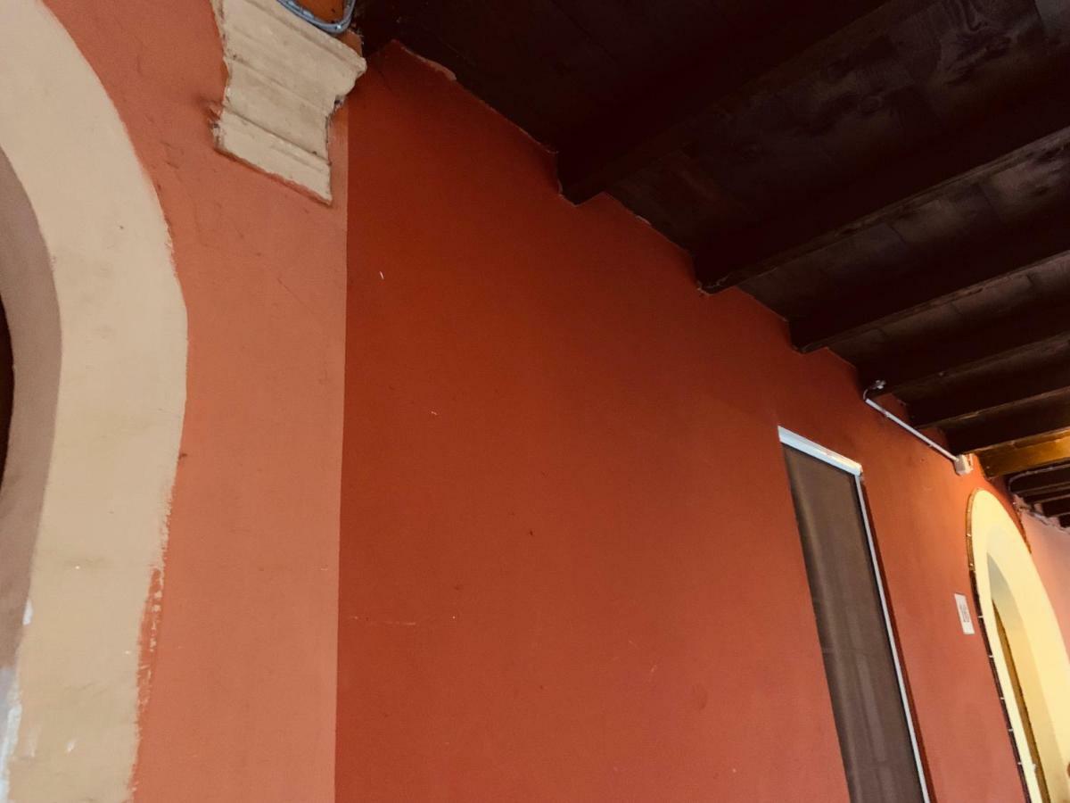 Whouse Suite Apartment Mirasole 博洛尼亚 外观 照片