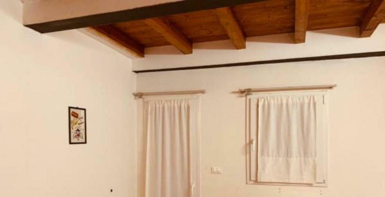 Whouse Suite Apartment Mirasole 博洛尼亚 外观 照片